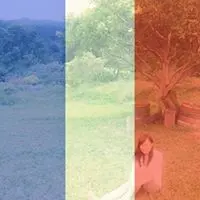 SandyLee6594