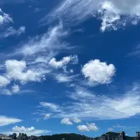 GraceLee85