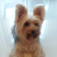 milliedmond