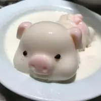 zorroperro