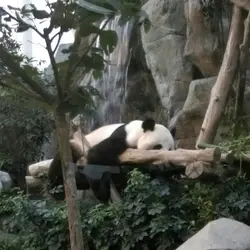 昀遊大地