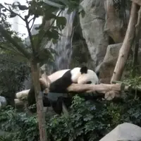 昀遊大地