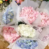 CrystalCheng62546