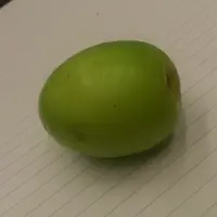 港獨為食妹