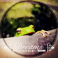 kayi_frog