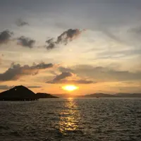 獅先生與貓小姐