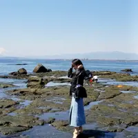 VickyYiu6383