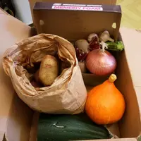 食神之神De