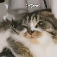 DohBada