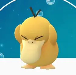 羽洛