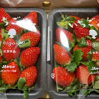 鄧宇科