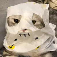 nataliecsl123