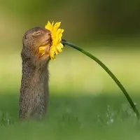 LilianSh
