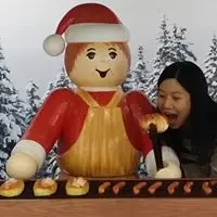 LynneSilinLi