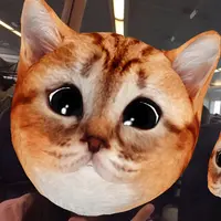 LoLokSze