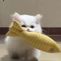 PearlyWei