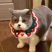 皮皮超人