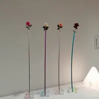 薛秋婷