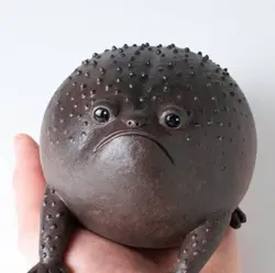 ImZeroHo