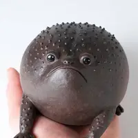 ImZeroHo