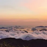 有讚有彈啦喂
