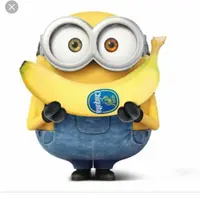 bobchichi