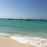 小肥美