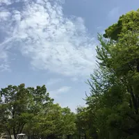 mRsKwok31762