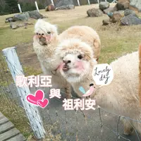 歌利亚与祖利安