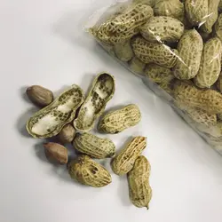 Foodie_katy