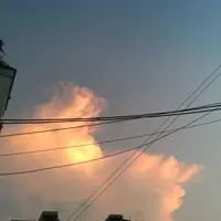 Jerry小盘友