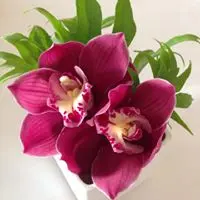 LeiZhu