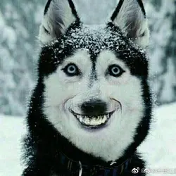 Namnam_lam