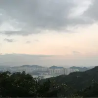 hdgj