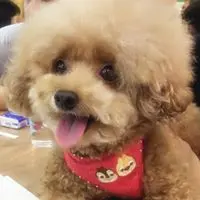 KittyKwan2732