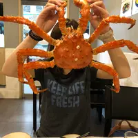 m.foodiee