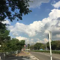 sauki