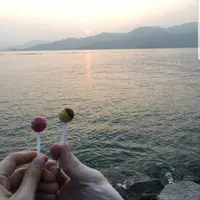 plumppug