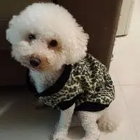 TammyKwong7603