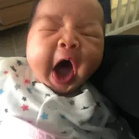 為食雞子