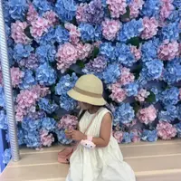 tracyxleung
