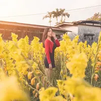 Cindy li123