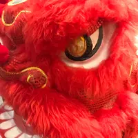 曼德拉