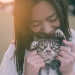 為食貓sonrisa