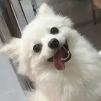 monchiyi