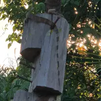 黃探員