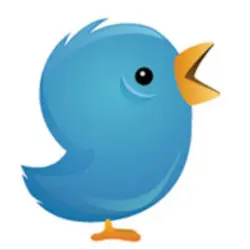 springbird