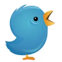 springbird