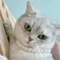 foodieplyeat