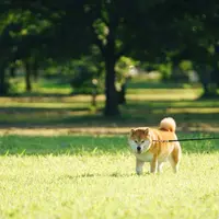 jkymmut